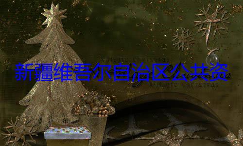 查调查自治区公共资源交易中新疆维吾尔心副主任薛建强接受审