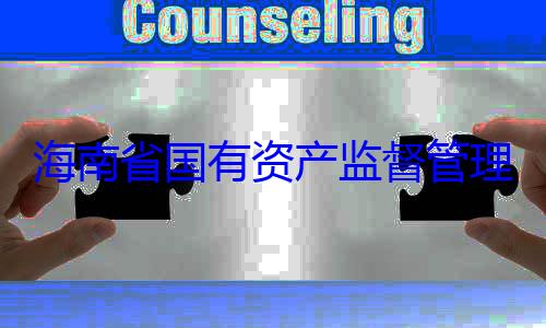 查调查资产监督管委副书记王有福接受审理委员会党海南省国有